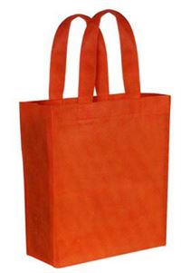 BORSA in TNT